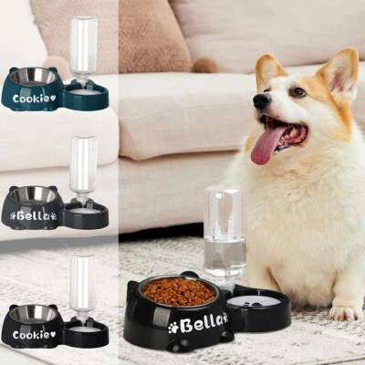 Tazón de comida personalizado 2 en 1 y dispensador automático de agua nombre impreso para perros gatos Foto 1 de 4