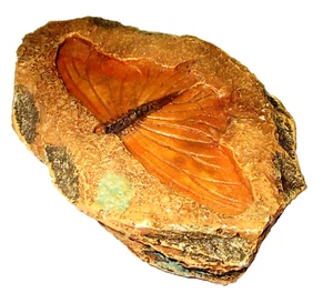 Schmetterling 'Fossil Rock' Ornament, aus Polyresin und handbemalt. - Bild 1 von 3