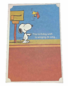 Birthday Card Nephew Snoopy and Woodstock PEANUTS Hallmark Greeting Crd New 2019