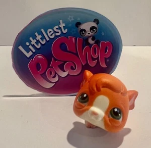 Authentic LITTLEST PET SHOP LPS - GUINEA PIG #4 - Picture 1 of 4