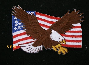 PARCHE DE COLECCIONISTA BANDERA DE ESTADOS UNIDOS ÁGUILA AMERICANA USCG EJÉRCITO MARINO MARINA MARINA USAF VETERANO MURICA - Imagen 1 de 11