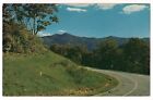 Blue Ridge Parkway Near Soco Gap Balsams Mts North Carolina Postcard 1955 Koppel