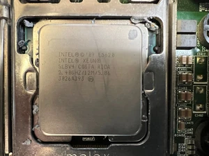 Placa madre de servidor HP 606019-001 Proliant ML350 G5 LGA1366 sin RAM sin sistema operativo 4K1076 - Imagen 1 de 7