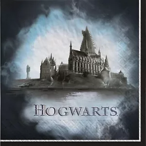 Hogwarts Harry Potter Wizarding World Kids Birthday Party Paper Luncheon Napkins - Picture 1 of 1