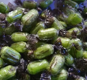 Chocolate Limes | Hard Boiled Sweets | Wrapped Fruity Choc Centre | VEGETARIAN - Picture 1 of 6