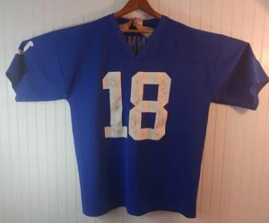 NFL XL xlargeJersey Peyton Manning Colts Indianapolis quarterback polyester (28) - Picture 1 of 1