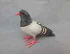 gray simulation pigeon model plastic&feather pink feet dove bird about 22x18cm