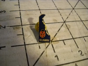 State of Delaware Ladybug Hat Cap Lapel Pin - Picture 1 of 2