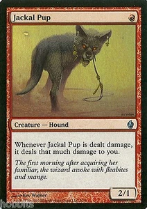 MTG - Premium Deck Fire & Lightning - Jackal Pup - Foil - NM - Picture 1 of 1