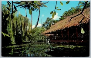Cartolina d'epoca Honolulu Hawaii HI The Willows Restaurant Fine Dining anni '50 vista - Foto 1 di 2