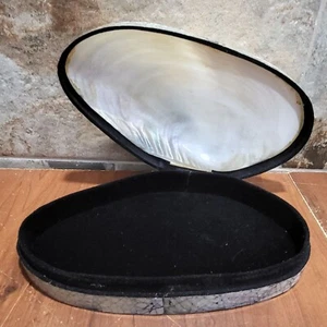 Large Clam Handcrafted White Capiz Seashell Abalone Mosaic Jewelry Box - Picture 1 of 20