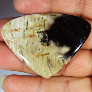 85.05 Cts Natural Petrified Palm Agate Heart Cabochon Gemstone 53x38x5 mm GL-81 - Picture 1 of 7