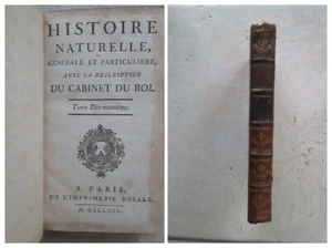 BUFFON : HISTOIRE NATURELLE tome 19, 1764. 24 planches (jaguar, cougar, lynx...) - Picture 1 of 21