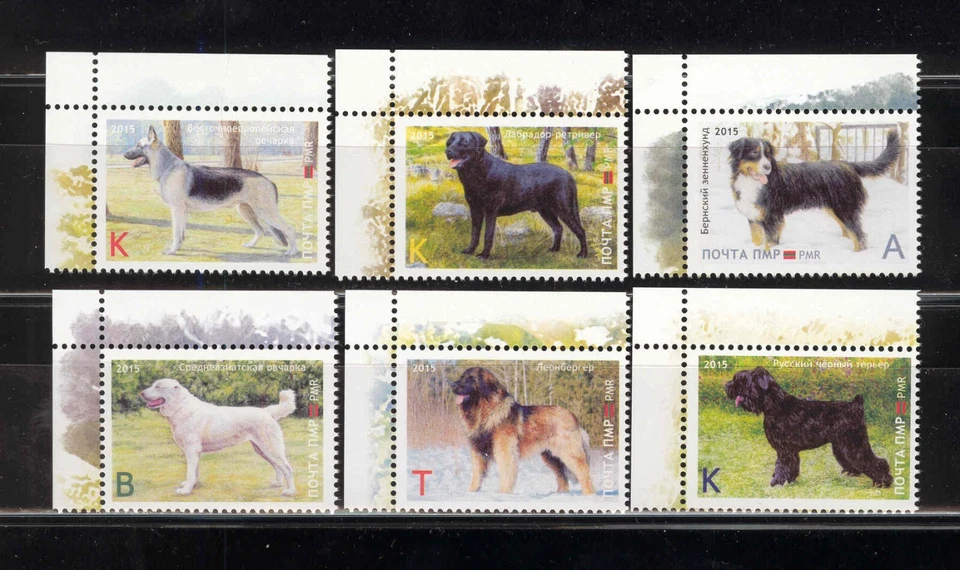 Transnistria 2015 (2016) Perros Razas Perros 6v**MNH Esquina Foto 1 de 1