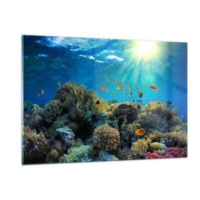 Wandbilder 120x80cm Glasbild Korallenriff Ozean Maritim XXL Bilder Art Wanddeko - Bild 1 von 4