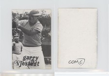 1976 Broder Japan Blank Back JA6 Garry Jestadt