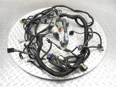 Harley Night Rod VRSCDX 2015 08-17 cableado del motor principal cable telar Foto 1 de 4