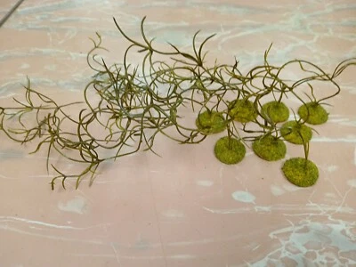 8 based Landscape Large Model Jungle Floor Vine wargaming scenery terrain 10"  - Image 1 of 4