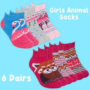Girls Cotton Rich Socks 6 Pairs Low Cut Trainer Liner Socks Flamingo Red Panda - Picture 1 of 3