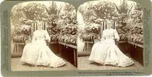 Mrs. McKinley en el Conservatorio de la Mansión Ejecutiva, Washington - Imagen 1 de 2