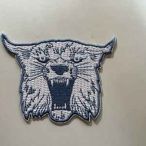 "Universidad de Kentucky Wildcats DE COLECCIÓN BORDADO HIERRO EN PARCHE 3"" X 2""" - Imagen 1 de 2