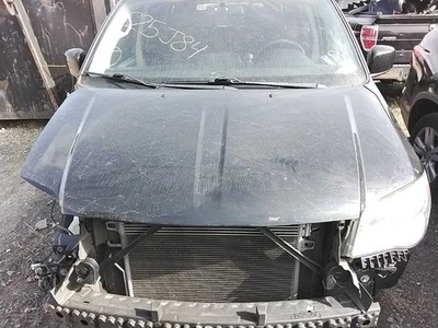 (LOCAL PICKUP ONLY) Hood Fits 11-20 CARAVAN 3054816 - Image 1 of 4