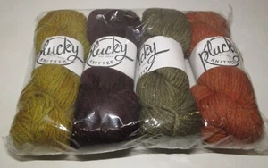Plucky Knitter Cambridge Yarn Bulky Fall Colors 4 Skeins SW USA Indie - Picture 1 of 1