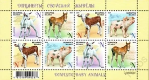 2024 Belarus Children Philately - Domestic Baby Animals MNH - Picture 1 of 1
