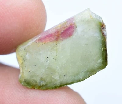 Unbehandelt Natürlich Wassermelone Turmalin Scheibe 8.85 Karat Zertifiziert Top - Bild 1 von 4