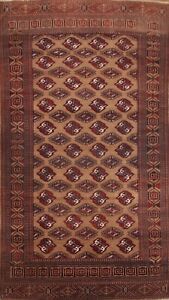 Geometric Bokhara Area Rug 7x12 Hand-Knotted Wool Oriental Carpet