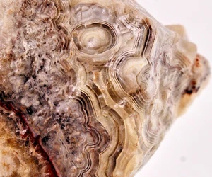 3.5oz Ice Candle Bubble Crazy Lace Quartz Druzy Agate Rough Raw Crystal Lapidary - Picture 1 of 13