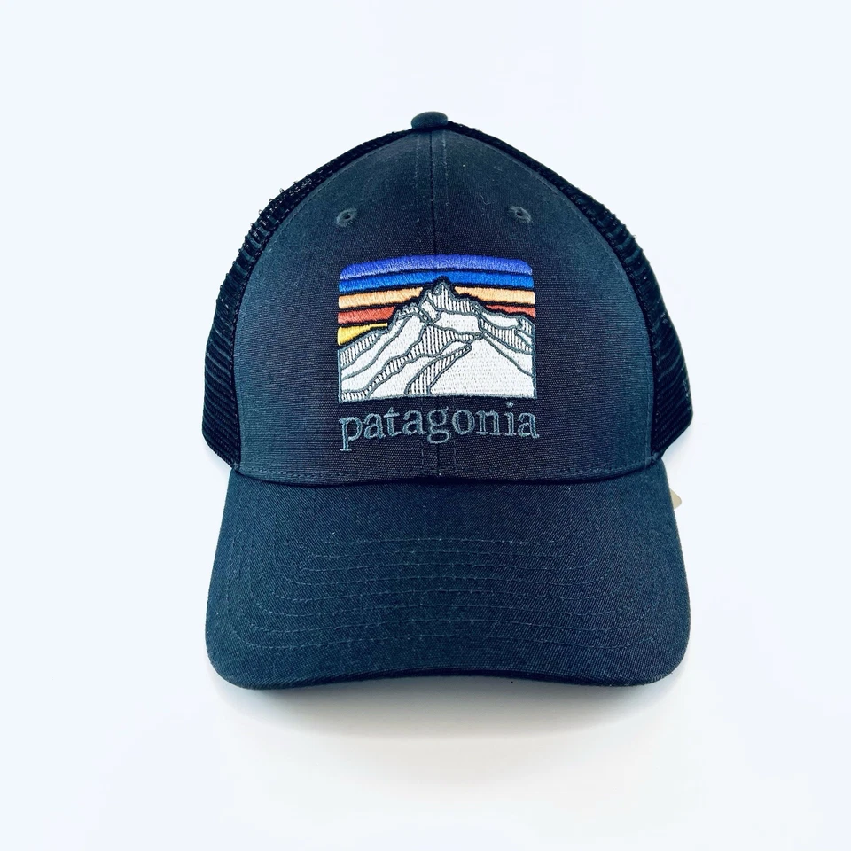 Patagonia Mens Line Logo Ridge LoPro Trucker Hat - Ink Black