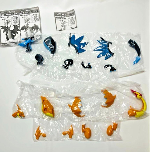 EUIC 2026 Mega Charizard Y Hoodie XL size | eBay