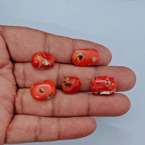 Vintage Italy Coral Cabochon Loose Gemstone 100% Natural Red Sea Coral Cabochon - Picture 1 of 9