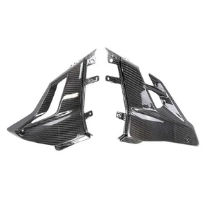 Carbon Bugspoiler für Ducati StreetFighter V4 / V4 S 2020-2025 - Bild 1 von 3