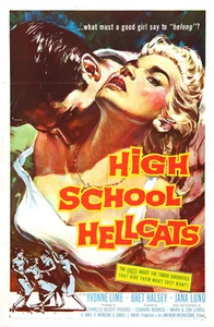 High School Hellcats Exploitation Movie Poster Replica 13x19" Photo Print - Picture 1 of 1