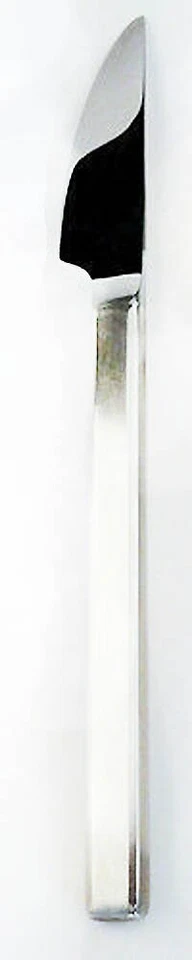 LINEAR by Rosenthal Silverplate Dinner Knife NEW NEVER USED made in Germany Foto 1 de 1