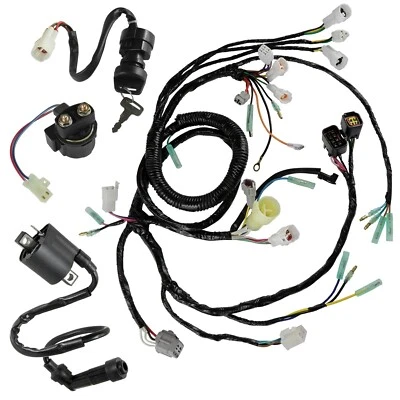 线束/启动器/点火钥匙开关,线圈雅马哈战士 YFM350 2002 - 2004 — 第 1/4 张图片