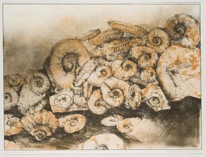 Nautiloide, Probedruck,  1980, Farblithographie Moderne Unbekannt (20.Jhd) - Picture 1 of 4