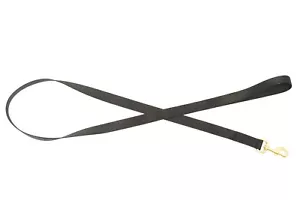 Guinzaglio per Cani con Cinghia in Nylon: Nylon e Clip Opzioni di Colore - Foto 1 di 4