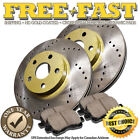 G0322 FRONT Drilled GOLD Rotors Ceramic Pads FOR 2002 2003 2004 Mustang Base GT