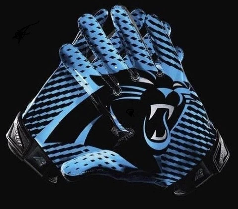 CAROLINA PANTHERS MAGNET CAR REFRIGERATOR FILING CABINET LOCKER TOOLBOX Cover