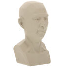  Adult Man Bust Model Resin Plaster Adult Bust Sculpture Desktop Ornament Life