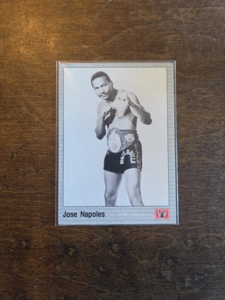 JOSE “ MANTEQUILLA “ NAPOLES - 1991 AW MEXICO WELTERWEIGHT  World Boxing RC - Image 1 of 2