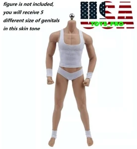 5 x 1/6 scale Light Suntan Skin GG Body Part For  12" Male Figure Body PHICEN - Picture 1 of 2