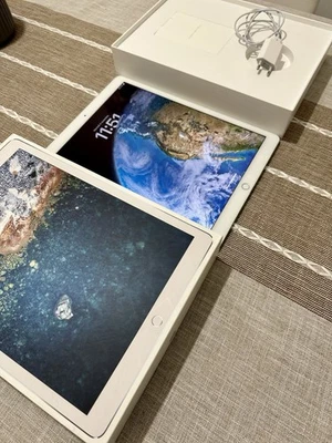 iPad Pro 12.9” Wi-Fi Seconda Generazione - Immagine 1 di 4