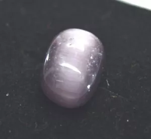 7.2 CT NATURAL CERTIFIED RARE CHRSOBERYL CATS EYE LOOSE GEMSTONE FOR JEWELRY C56 - Picture 1 of 4