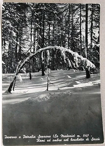 Inverno a PETRALIA SOPRANA (Le Madonie) [grande, b/n, viagg.] - Imagen 1 de 1