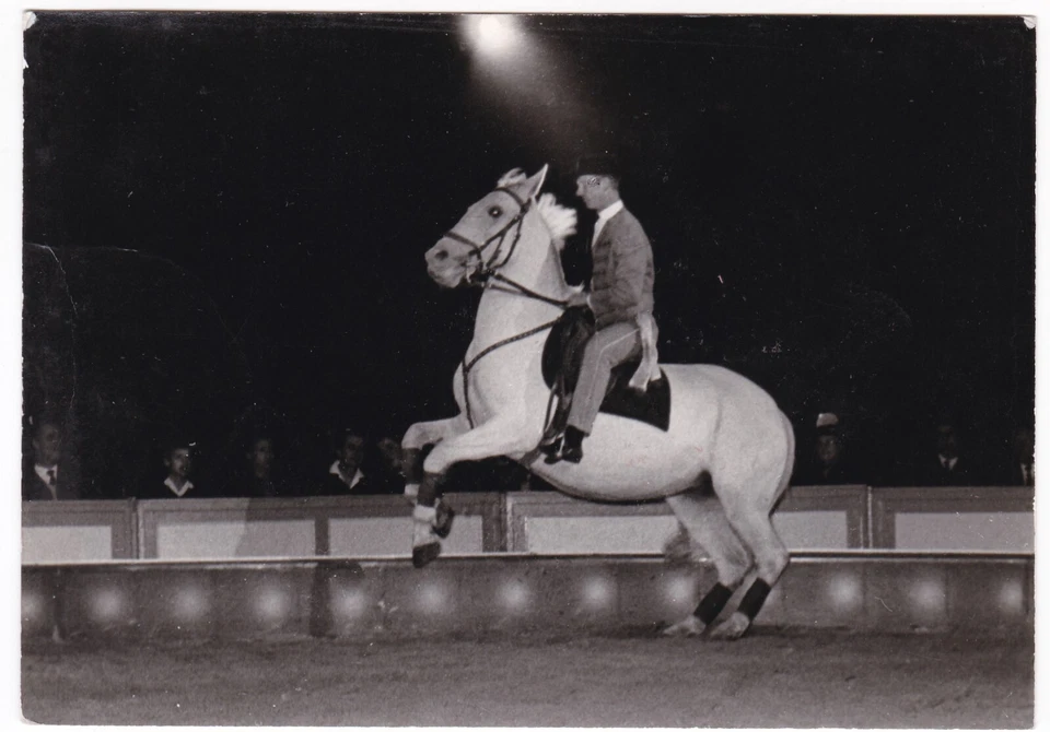 Foto-AK Zirkus Circus Barum Foto Pressefoto 1964 Althoff auf Pferd in der Manege - Bild 1 von 2
