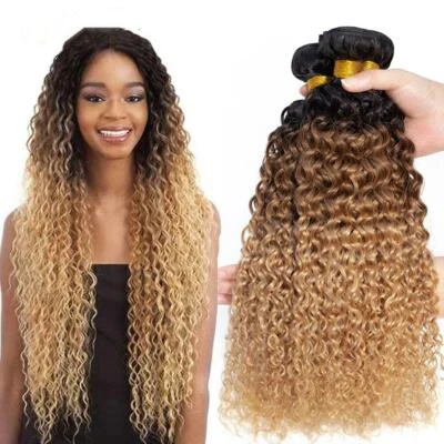 12A Ombre Human Hair Bundles Jerry Curly Wave Virgin Hair Extensions Weft Weavy - Image 1 of 4